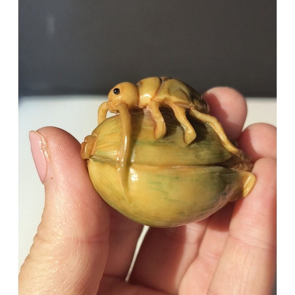 78. Netsuke Tagua Palm Nut Carving Japanese Beetle